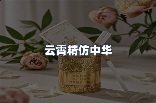 云霄精仿中华